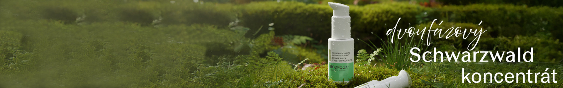 Dvoufázový Schwarzwald